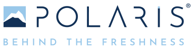 Polaris Logo